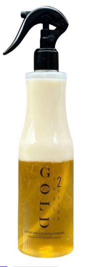 Gold Style Argan Two Phase Conditioner 400 ml